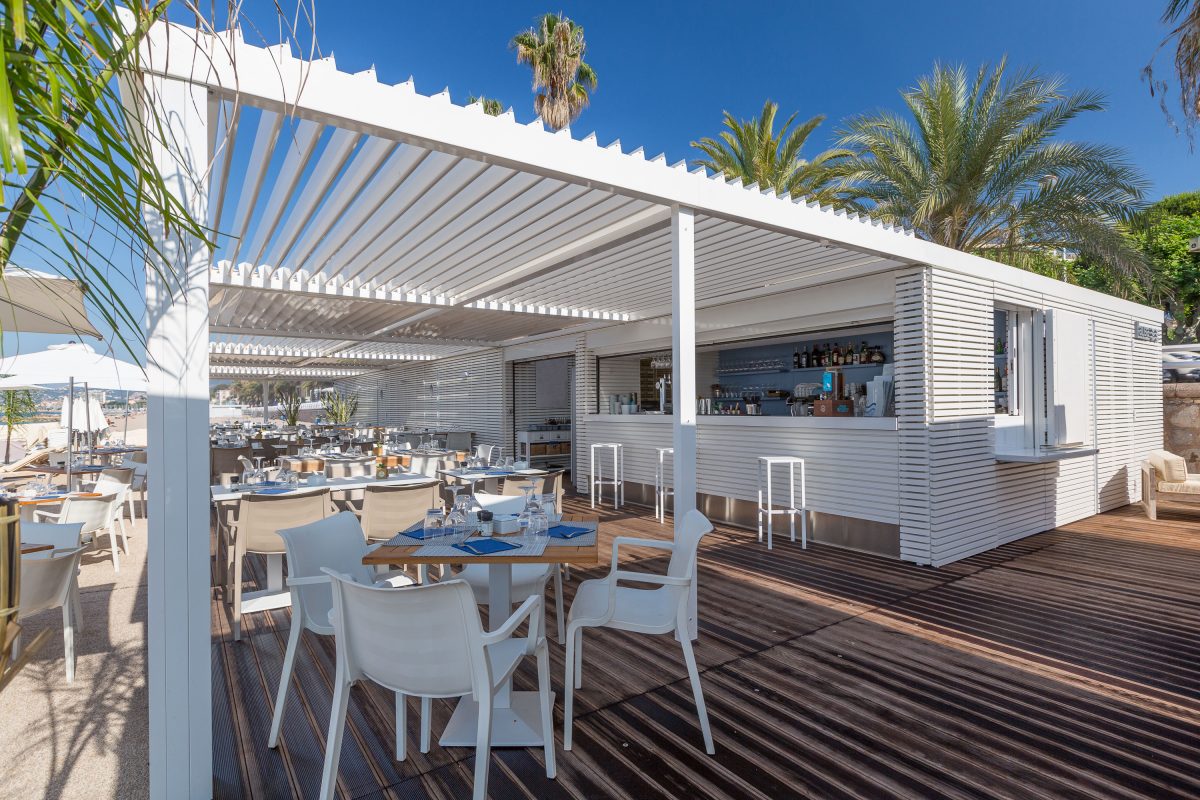 Pergola Professionnel